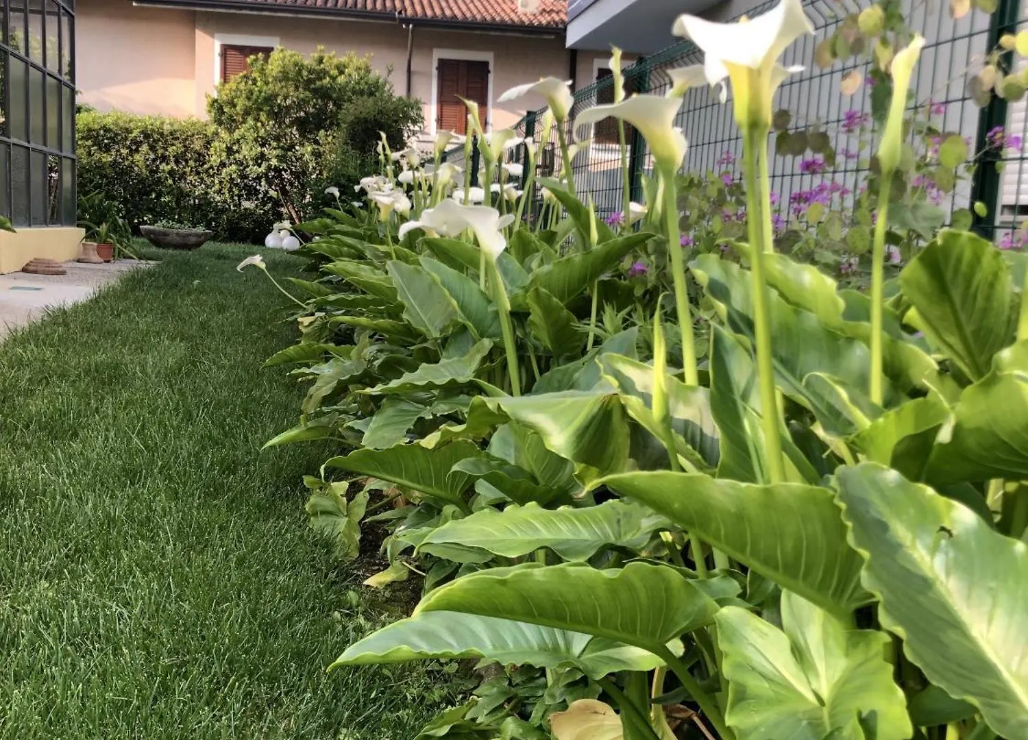 Casa Sivori Sul Lago Di Garda Con Ampio Giardino Desenzano del Garda 0*,