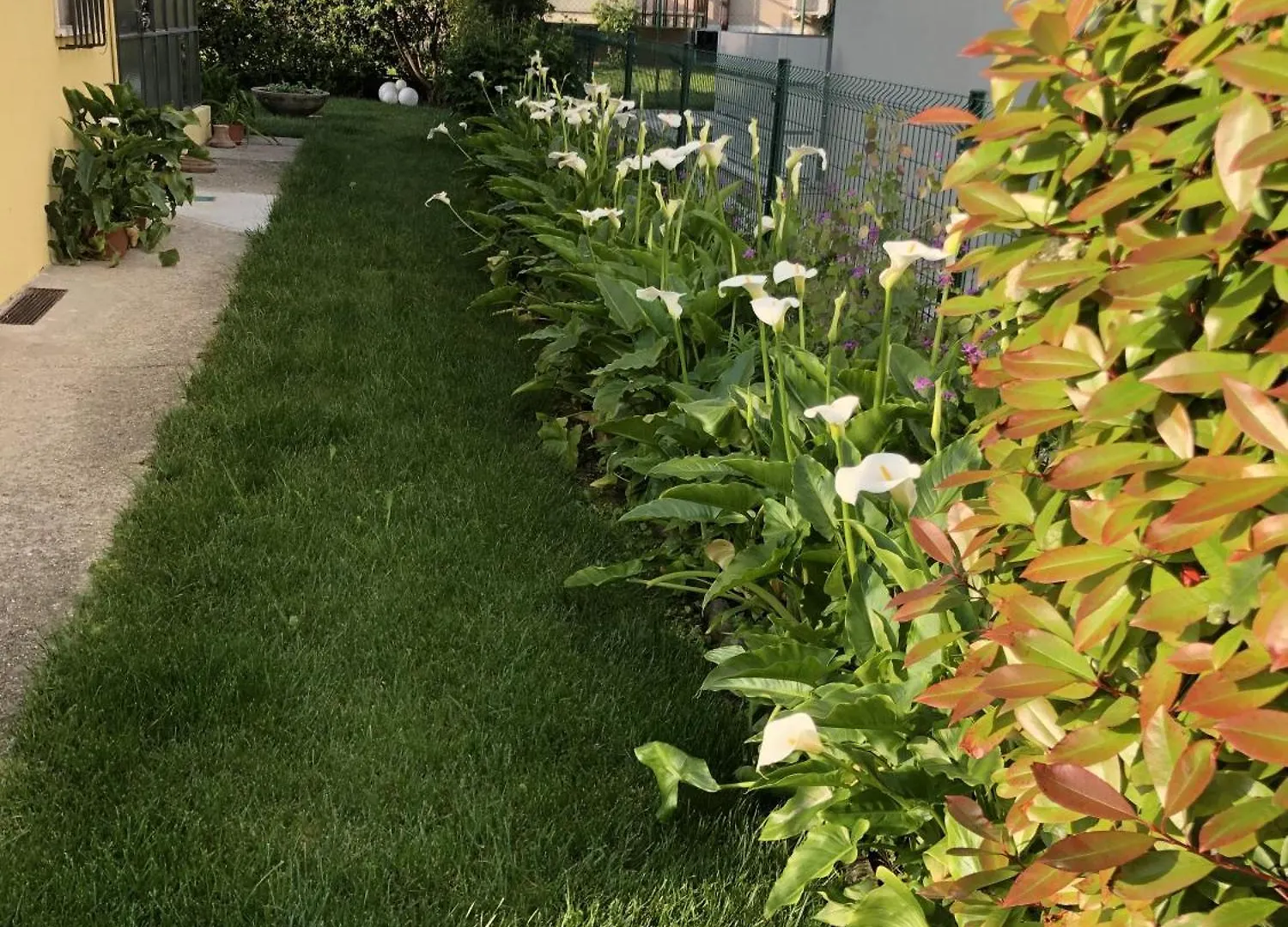 Apartment Casa Sivori Sul Lago Di Garda Con Ampio Giardino Desenzano del Garda
